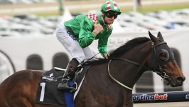 VRC Derby Favourites Blow After Unfavourable Barrier Draws