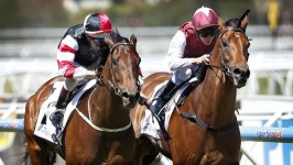 Tupac Amaru Finds Support To Win VRC Derby
