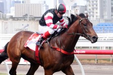 Polanksi Plunged To Win VRC Derby On TAB