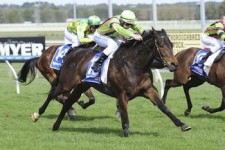 Punters Come For Solicit To Upset Kirramosa’s Oaks