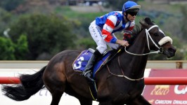 Kincaple Early Favourite For Perth Cup
