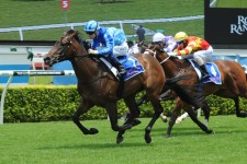 Punters Plunge On Unencumbered For Magic Millions