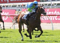 Oakleigh Girl Favourite For Magic Millions