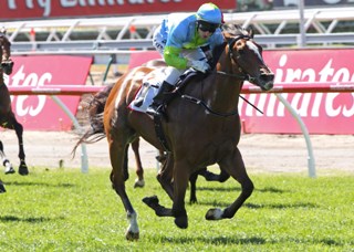 Oakleigh Girl Favourite For Magic Millions