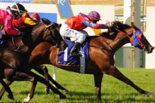 Punters Can’t Split Pop Culture & Black Tycoon In Perth Cup