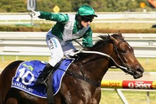 Samaready Shortens For Black Caviar Lightning Stakes